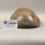 hat blocks australia 1415 VINTAGE BERET 2.jpg