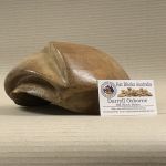 hat blocks australia 1415 VINTAGE BERET 3.jpg